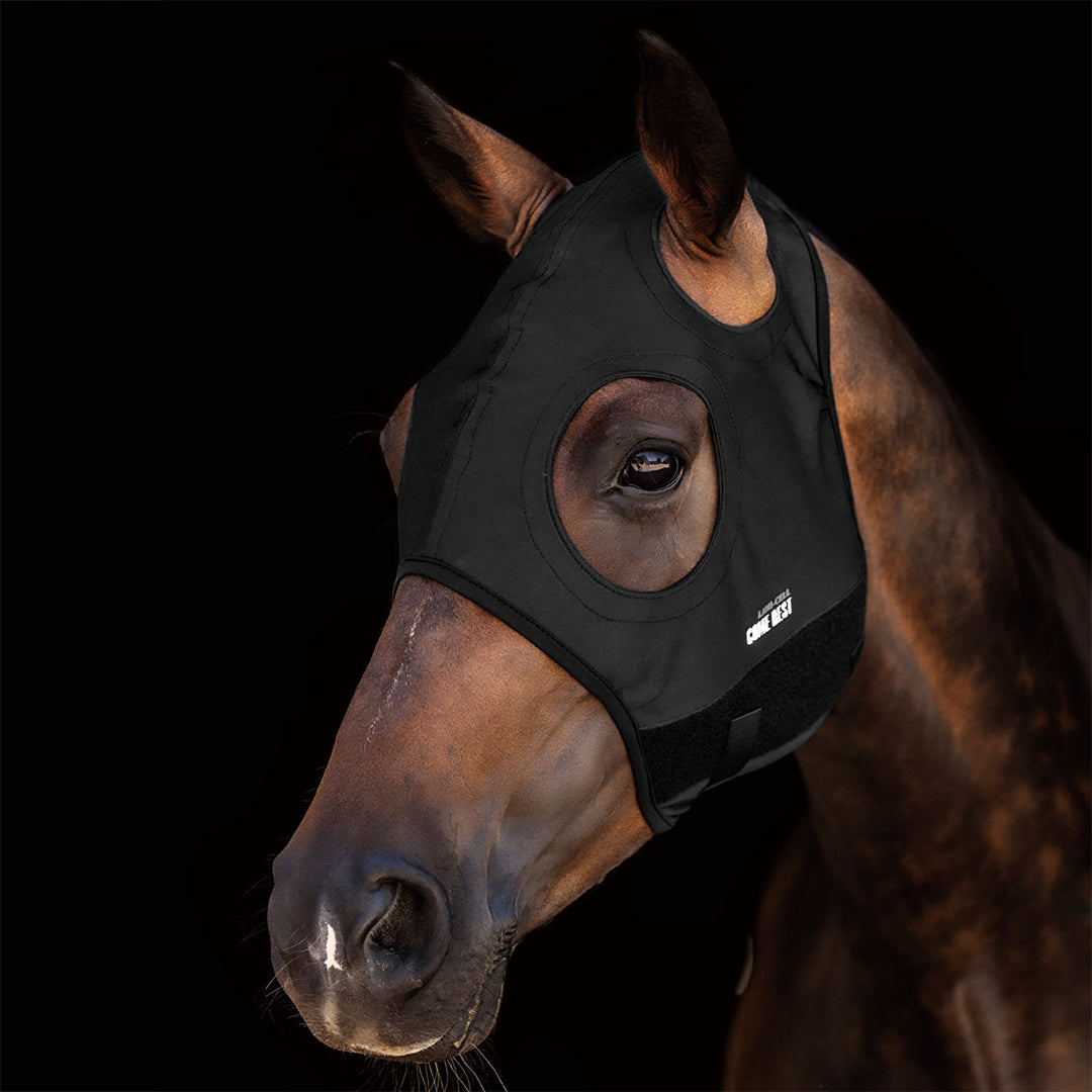 TITANIUM MASK COME BEST NO EARS BLACK