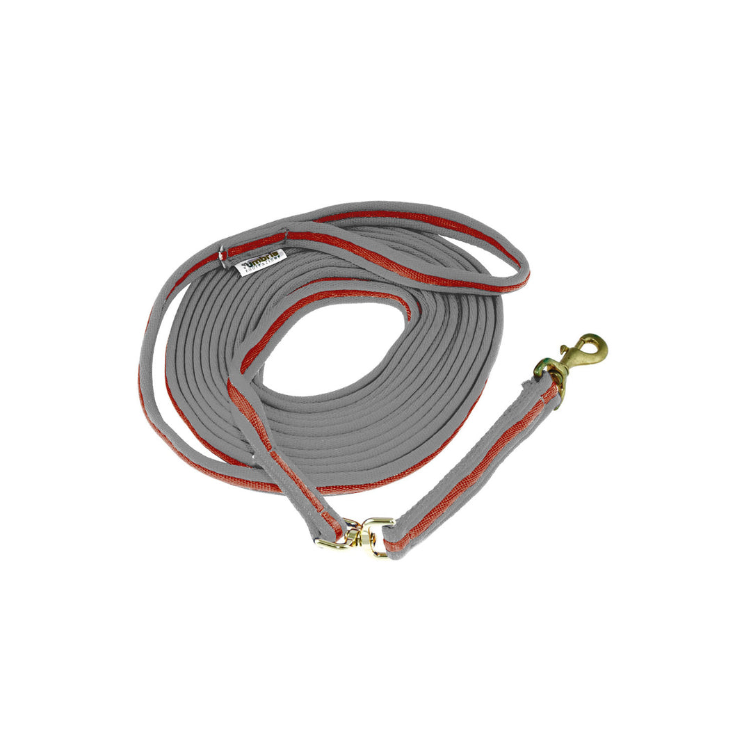 PADDED NYLON LUNGE REIN GREY/RED