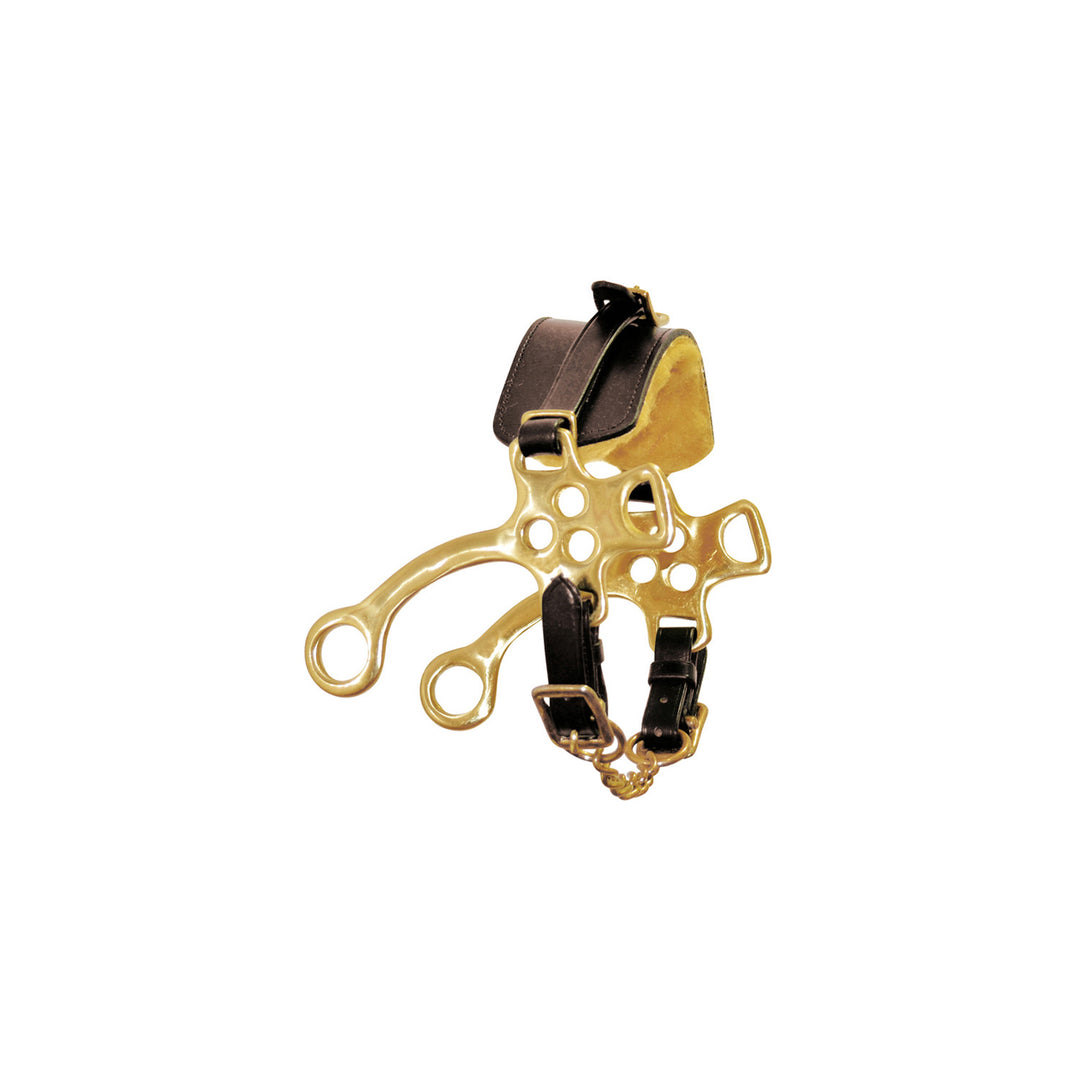 BRASS PLATED HACKAMORE BROWN