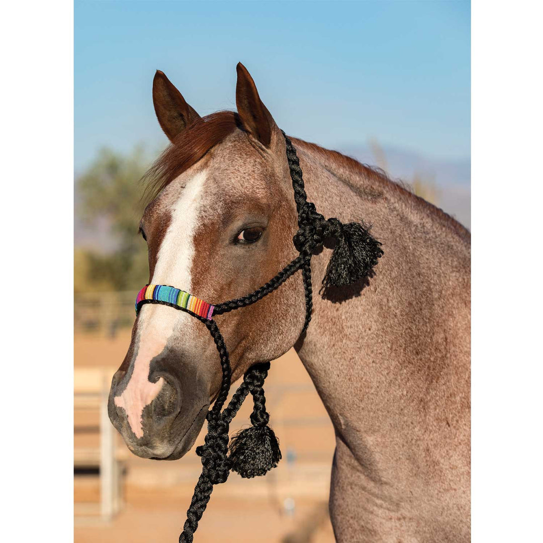 COWBOY BRAIDED HALTER BLACK/SERAPE