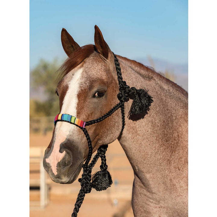 COWBOY BRAIDED HALTER BLACK/SERAPE