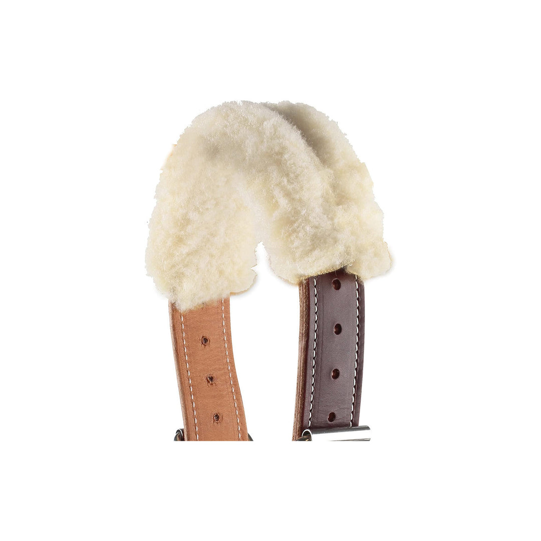 Removable cover for the Dare Cribbing Control Collar