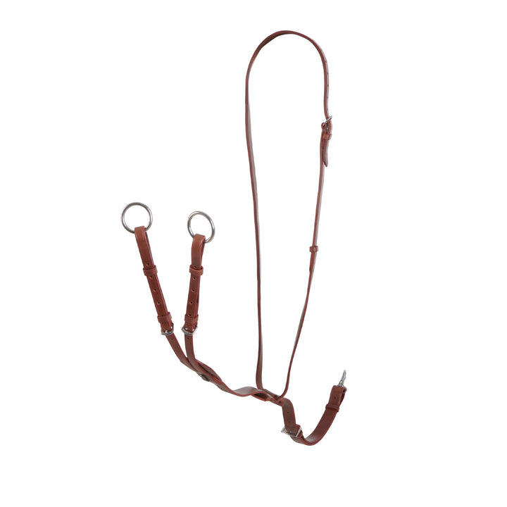 Durable leather collier martingale COGNAC