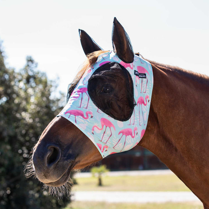 Anti-fly mask with ear cover net