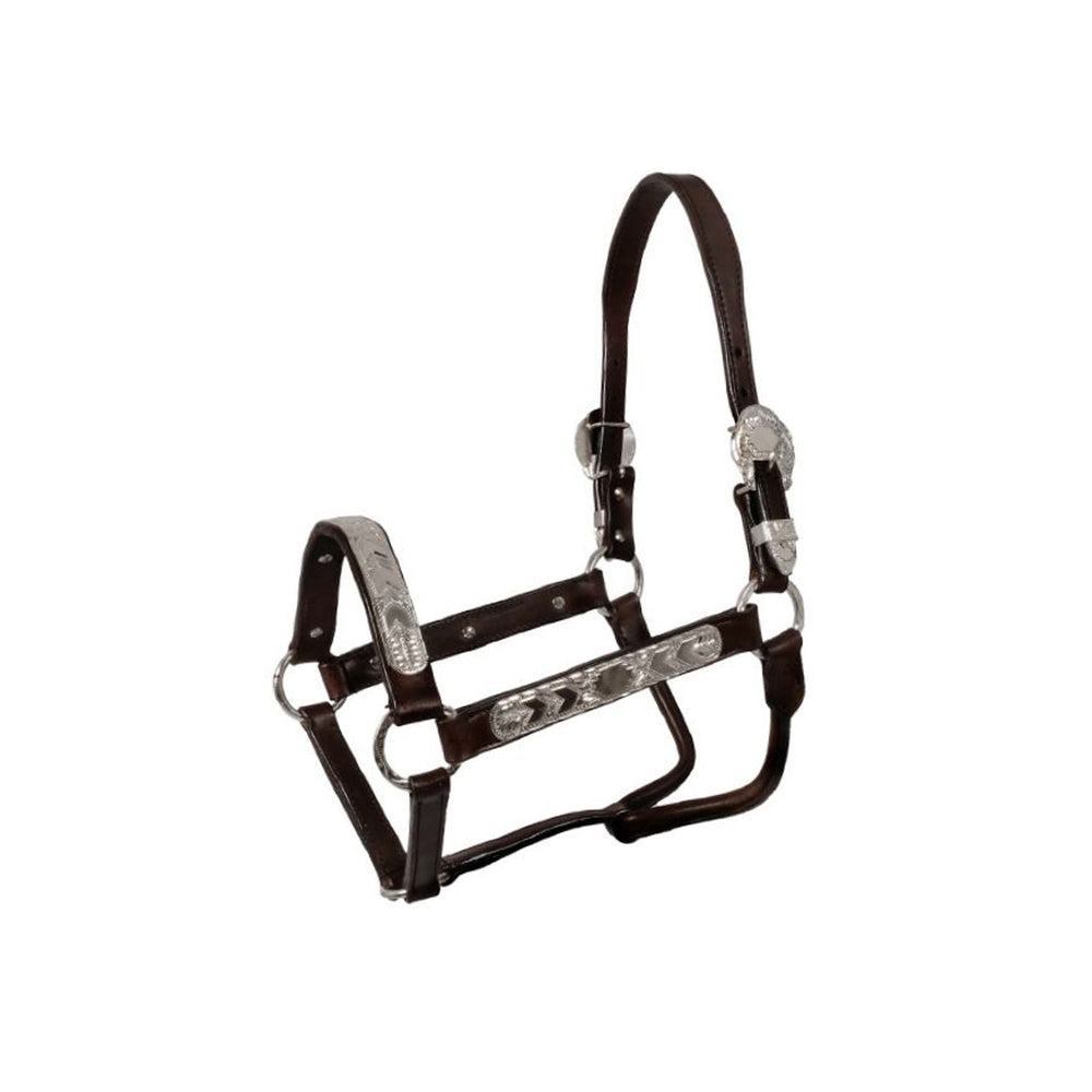 POOL'S LEATHER HALTER ELHT/00935 BROWN