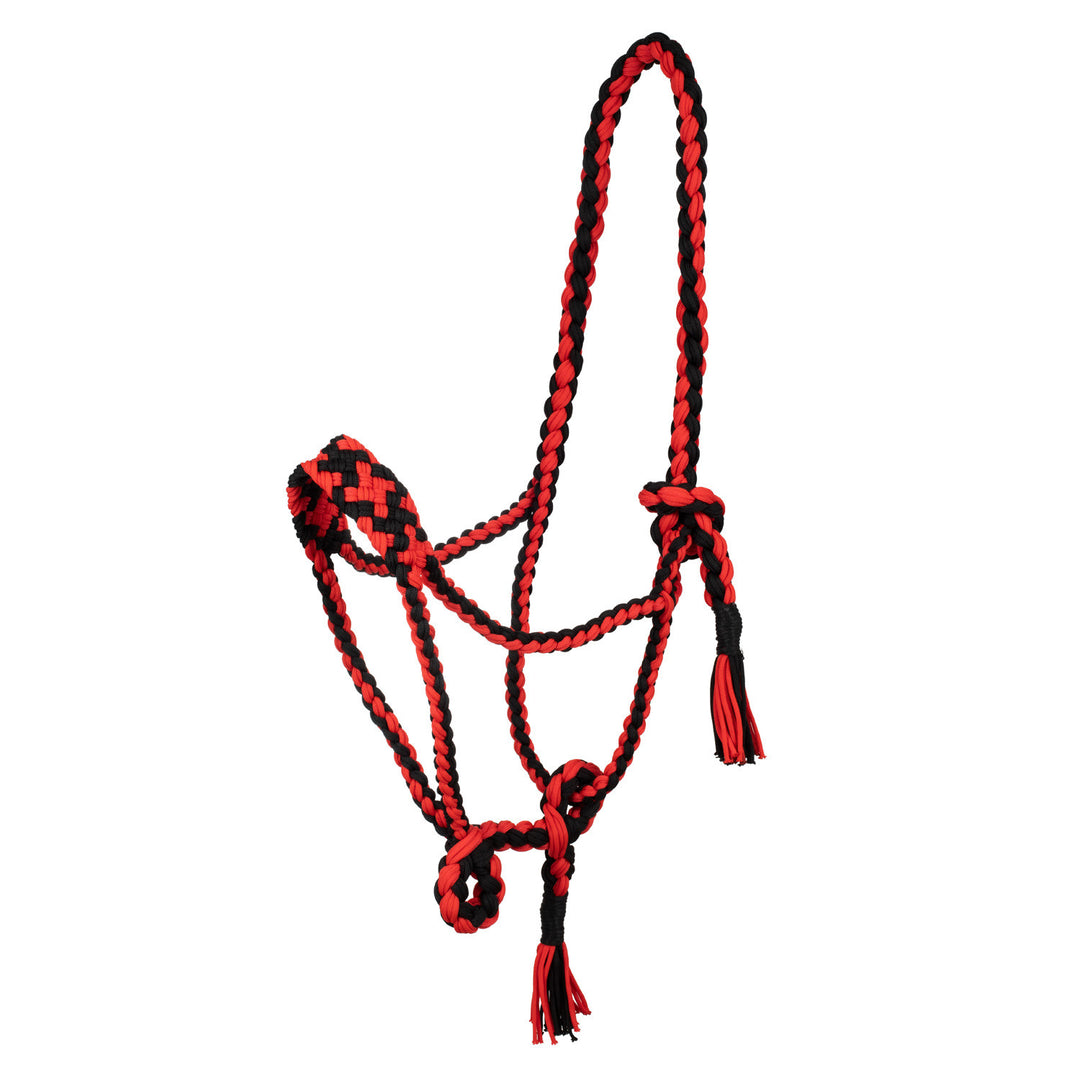 Braided nylon halter BLACK/RED