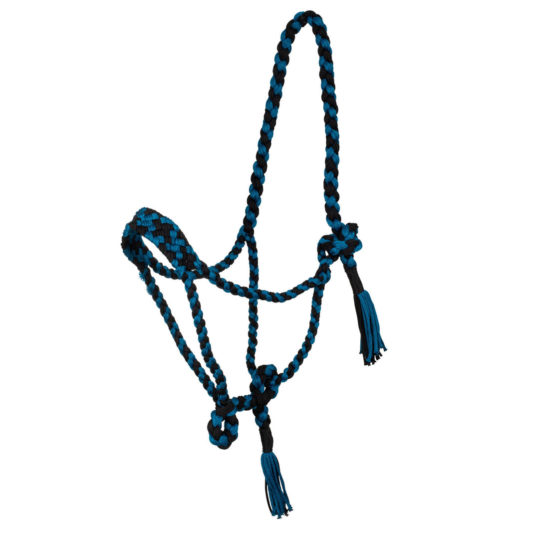 Braided nylon halter BLACK/TEAL