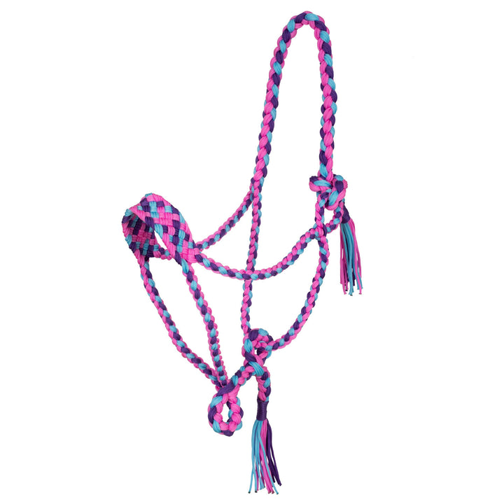 Braided nylon halter PINK/SKY BLUE/PURPLE