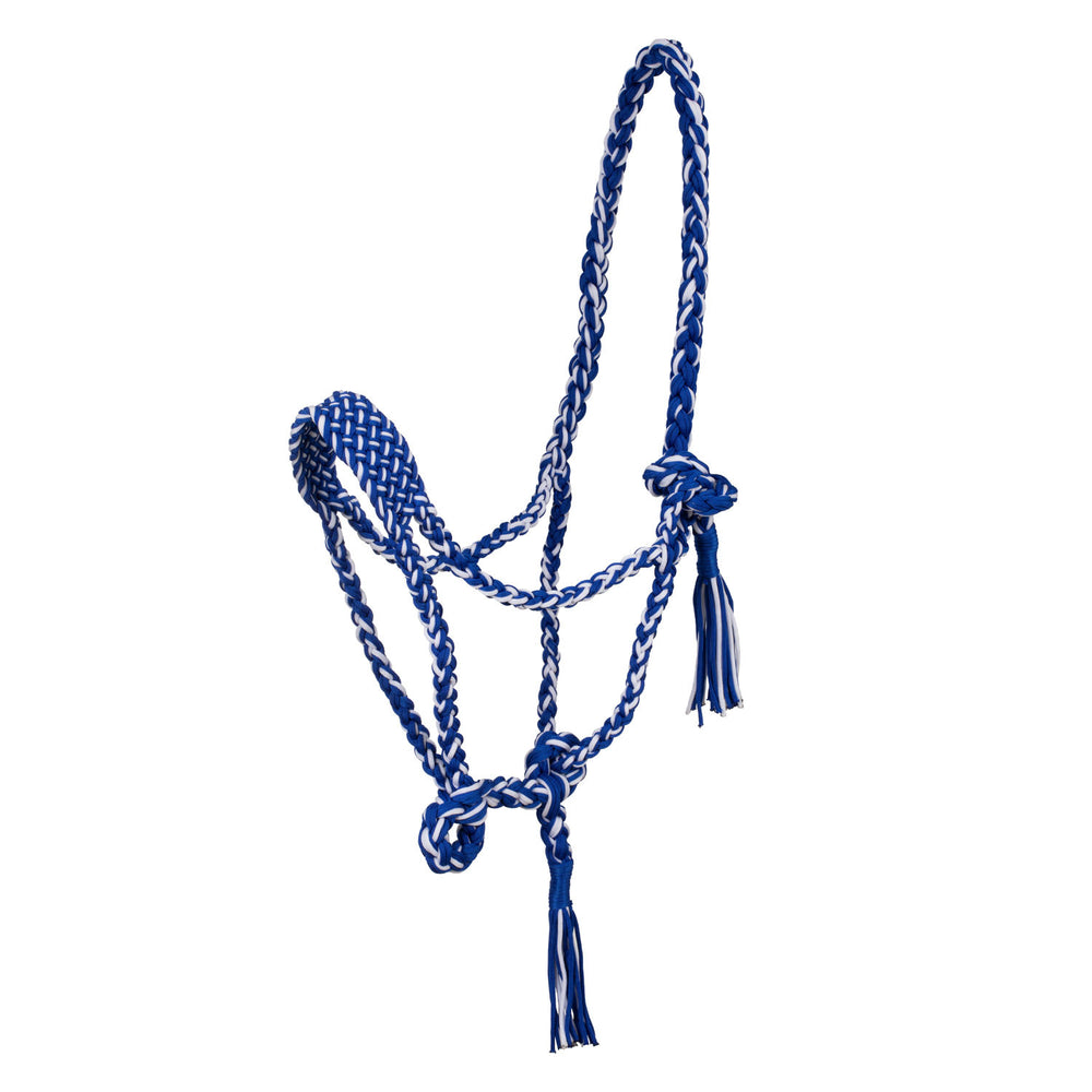 Braided nylon halter ROYAL/WHITE