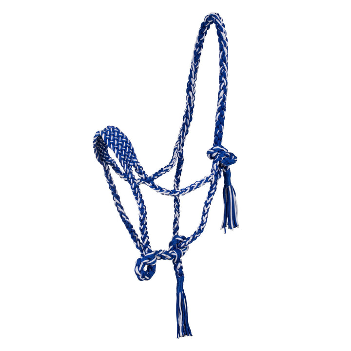 Braided nylon halter ROYAL/WHITE