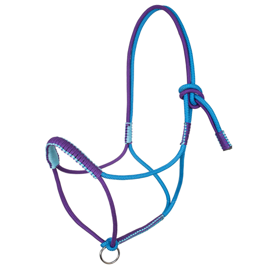 Braided halter with decorations TURQUOISE/PURPLE