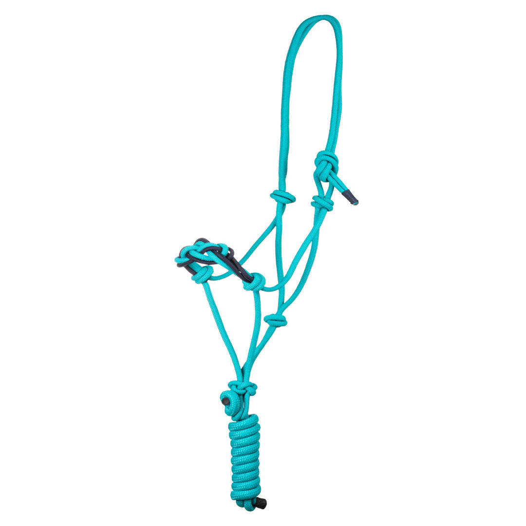 Halter with braided rope on the nose