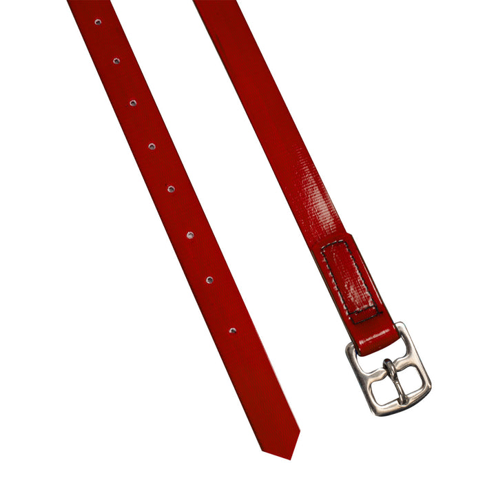 BIOTHANE STIRRUP STRAPS