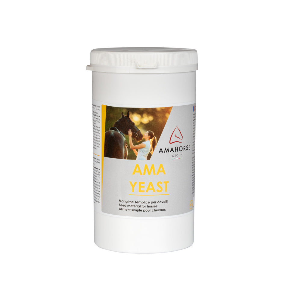 AMA YEAST LIEVITO DI BIRRA (1 KG)