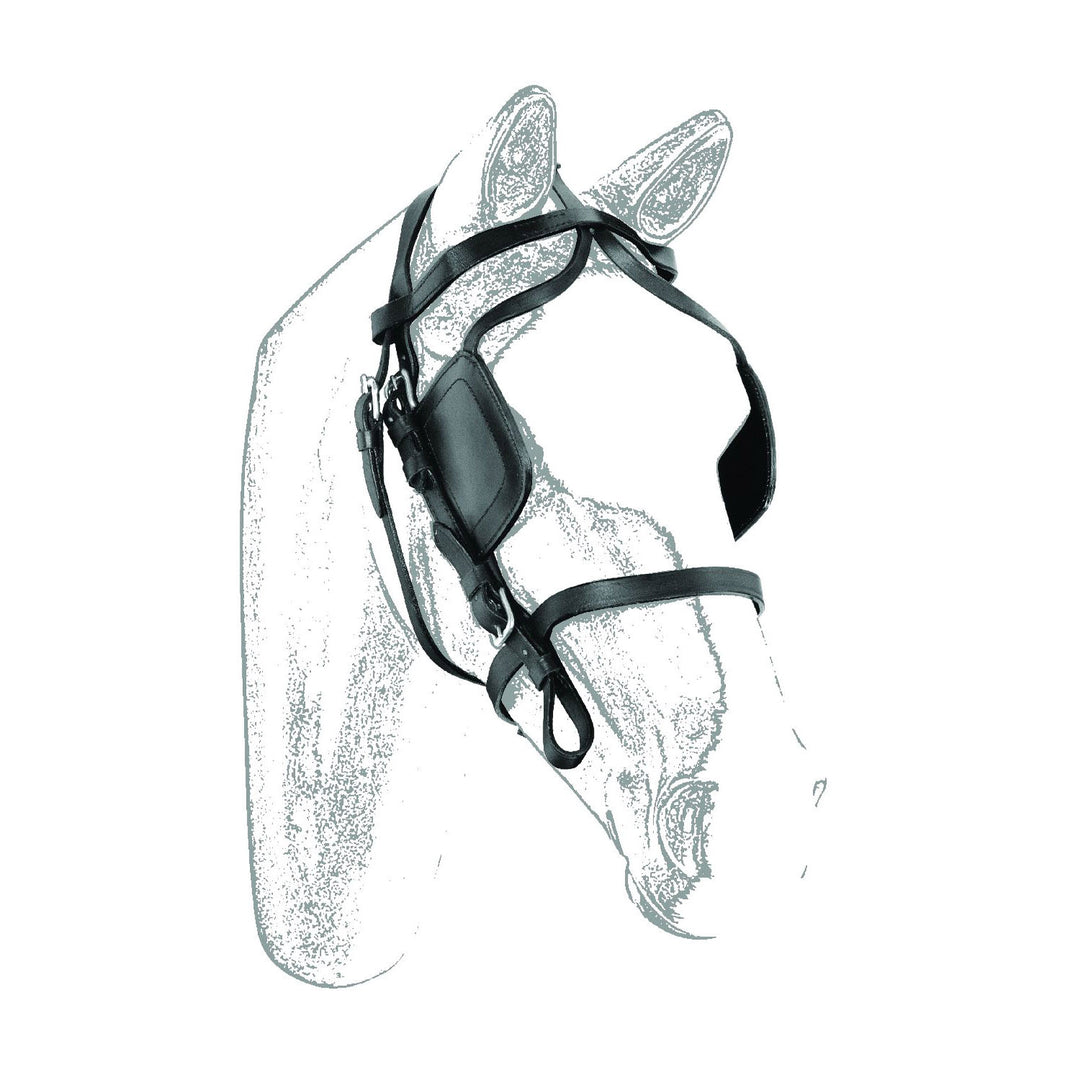 BRIDLE FOR HARNESS BLACK