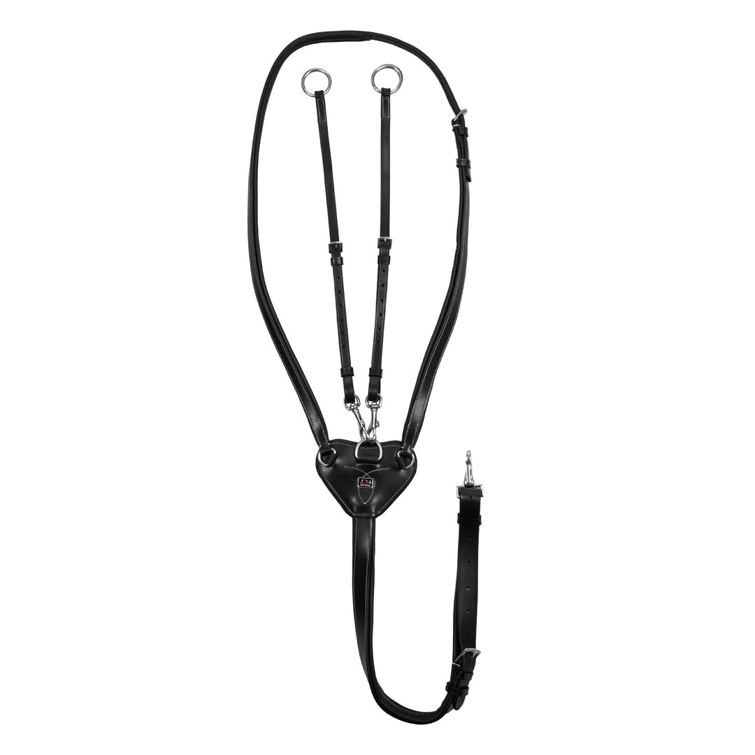 ADJUSTABLE MARTINGALE