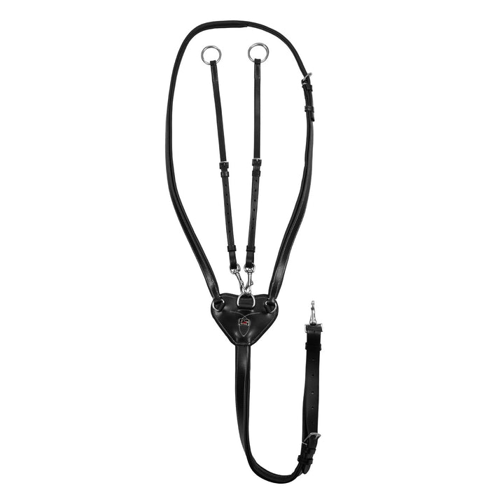 ADJUSTABLE MARTINGALE