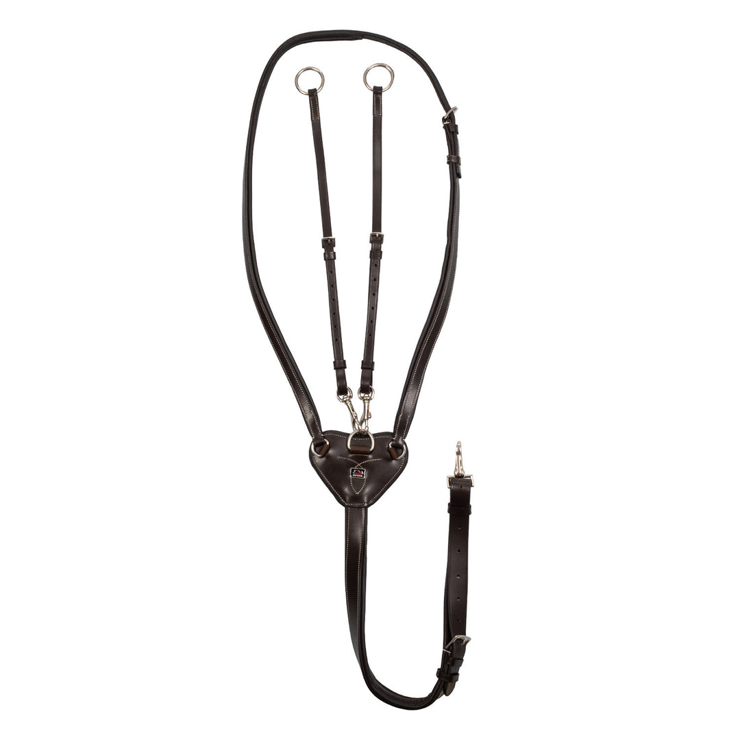 ADJUSTABLE MARTINGALE