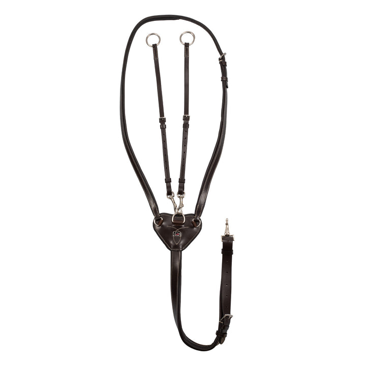 ADJUSTABLE MARTINGALE