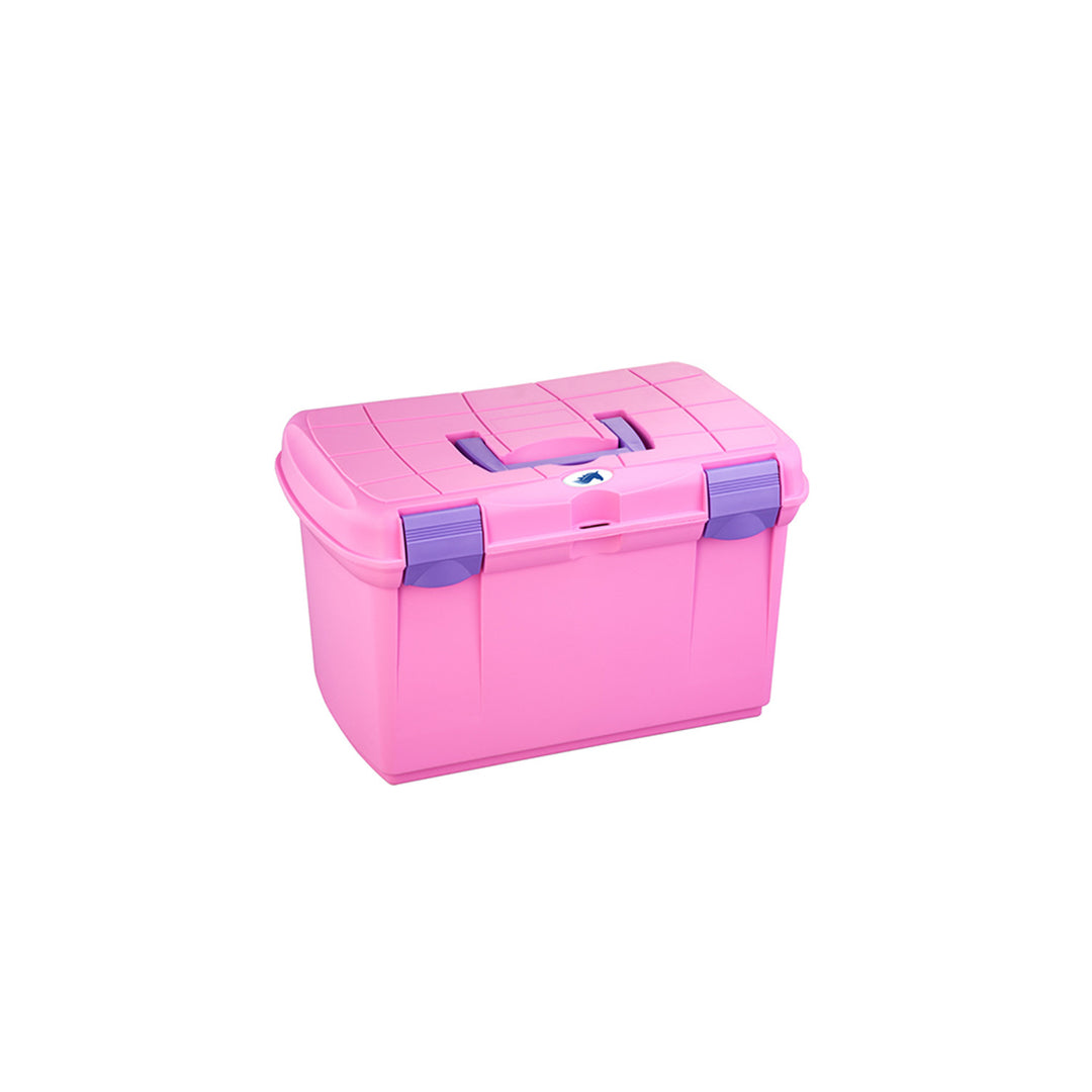 GROOMING BOX 161 CYCLAMEN/PURPLE